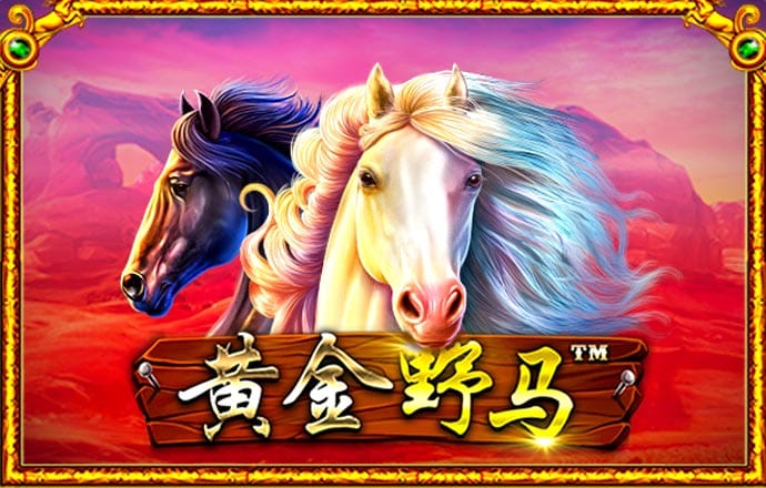 银娱geg